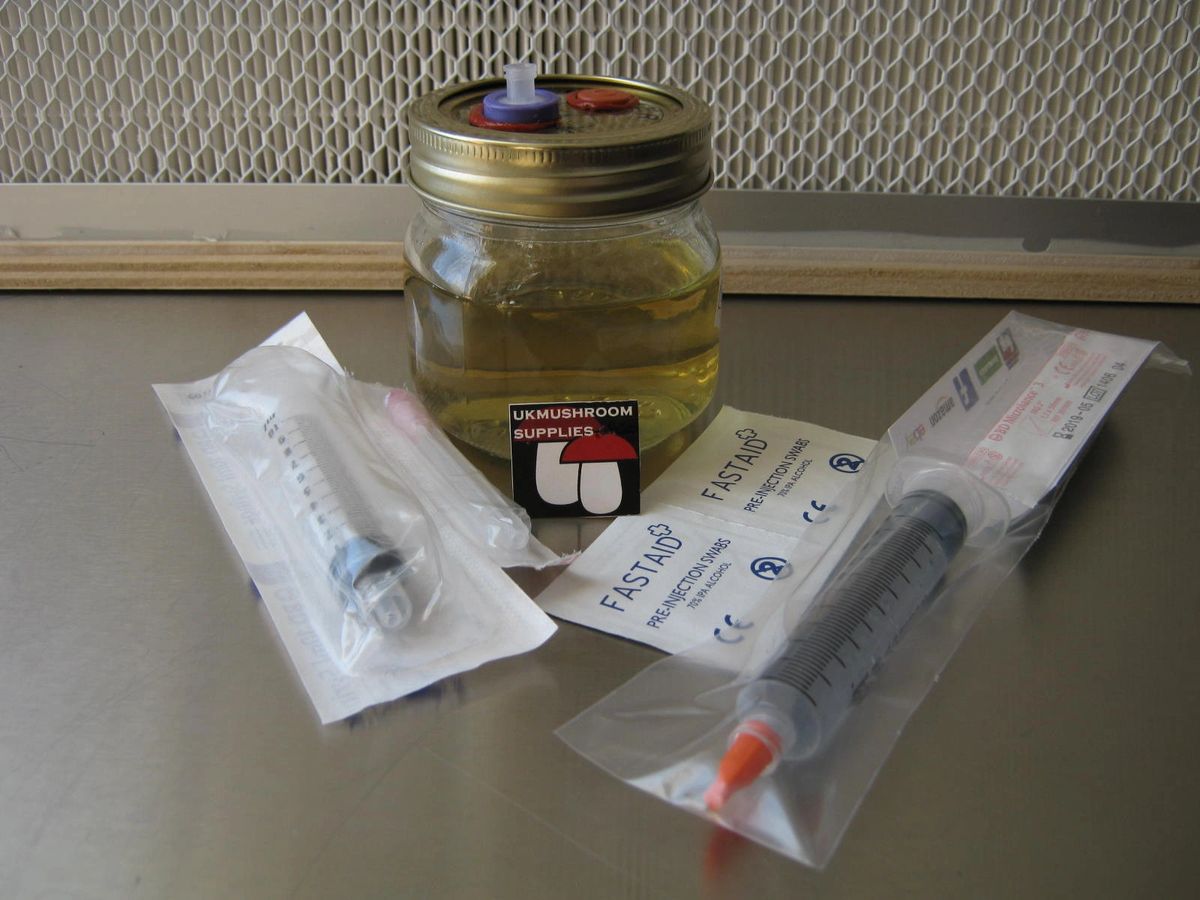 Mushroom liquid culture jar (250ml) with 10ml oyster mushroom spore